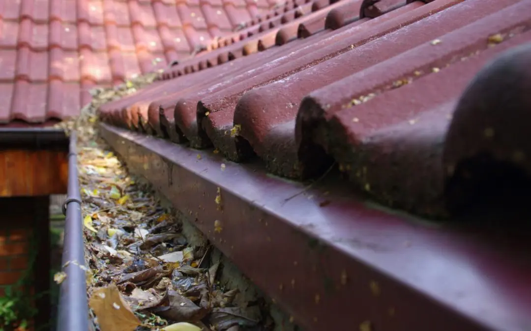 clean your gutters